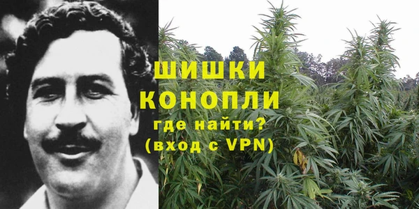 бошки Дмитриев