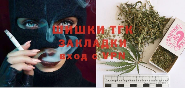 бошки Дмитриев