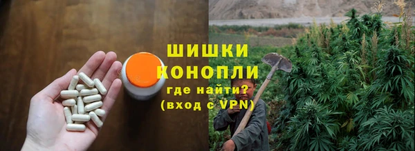 мдпв Дмитровск