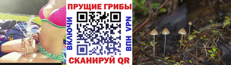 Псилоцибиновые грибы GOLDEN TEACHER Нефтекамск