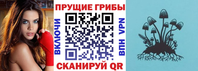 Псилоцибиновые грибы MAGIC MUSHROOMS  Нефтекамск 